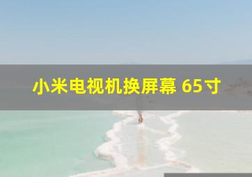 小米电视机换屏幕 65寸